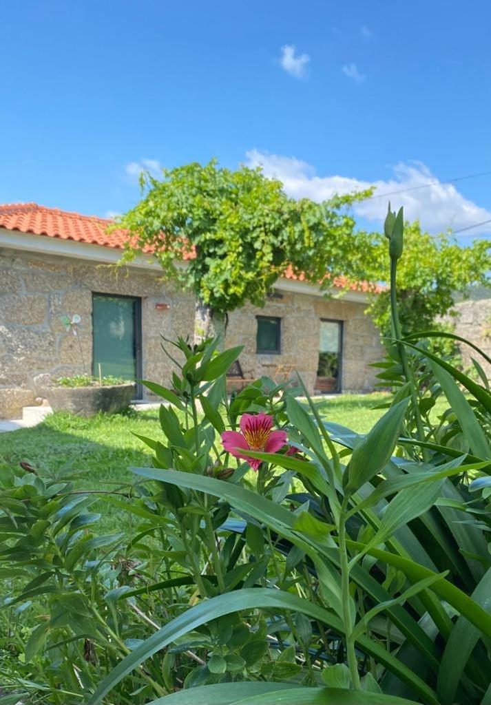 Hotel Quinta Da Tulha By Vimahotels Guimarães Exterior photo